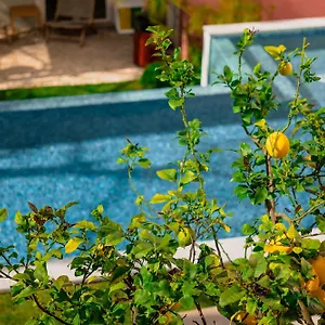 Jardim Da Lapa By Shiadu Lisboa